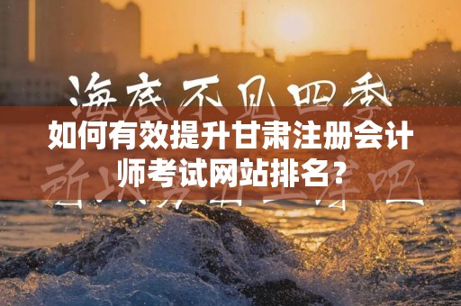 如何有效提升甘肃注册会计师考试网站排名？