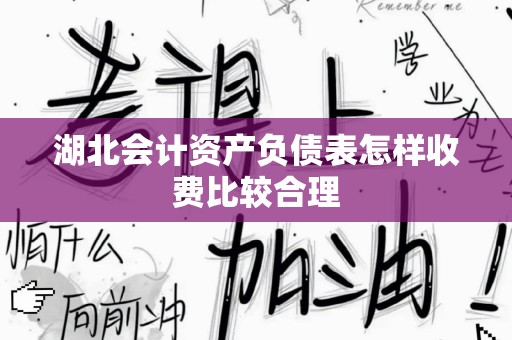 湖北会计资产负债表怎样收费比较合理