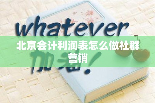 北京会计利润表怎么做社群营销