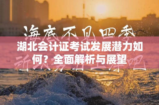 湖北会计证考试发展潜力如何？全面解析与展望