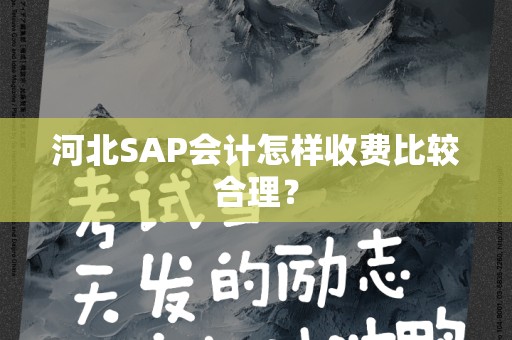 河北SAP会计怎样收费比较合理？