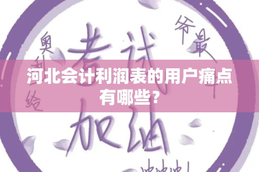 河北会计利润表的用户痛点有哪些？