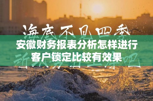 安徽财务报表分析怎样进行客户锁定比较有效果