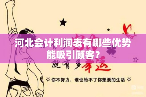 河北会计利润表有哪些优势能吸引顾客？