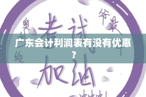 广东会计利润表有没有优惠？
