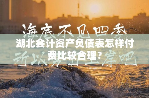 湖北会计资产负债表怎样付费比较合理？