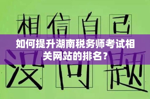 如何提升湖南税务师考试相关网站的排名？