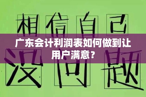 广东会计利润表如何做到让用户满意？