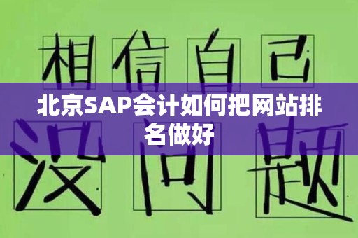 北京SAP会计如何把网站排名做好