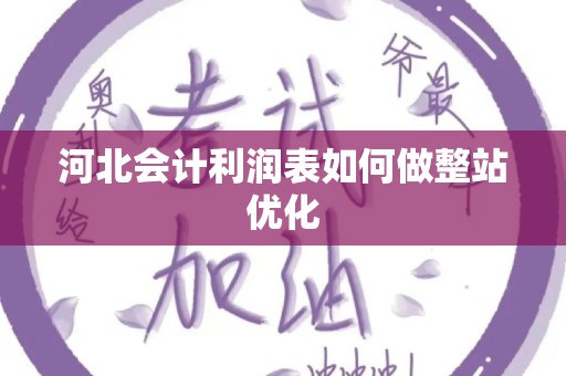 河北会计利润表如何做整站优化