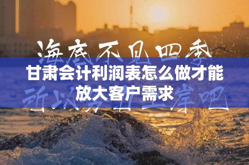 甘肃会计利润表怎么做才能放大客户需求