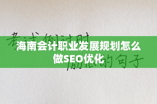 海南会计职业发展规划怎么做SEO优化