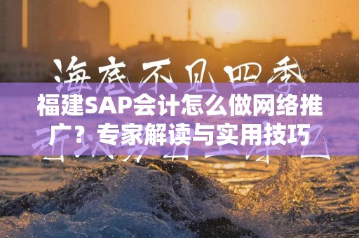 福建SAP会计怎么做网络推广？专家解读与实用技巧