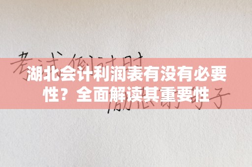 湖北会计利润表有没有必要性？全面解读其重要性