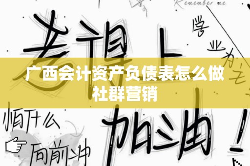 广西会计资产负债表怎么做社群营销