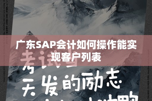 广东SAP会计如何操作能实现客户列表