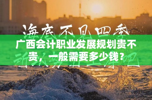 广西会计职业发展规划贵不贵，一般需要多少钱？