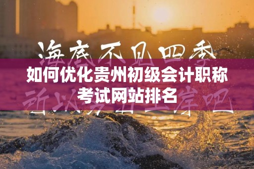如何优化贵州初级会计职称考试网站排名