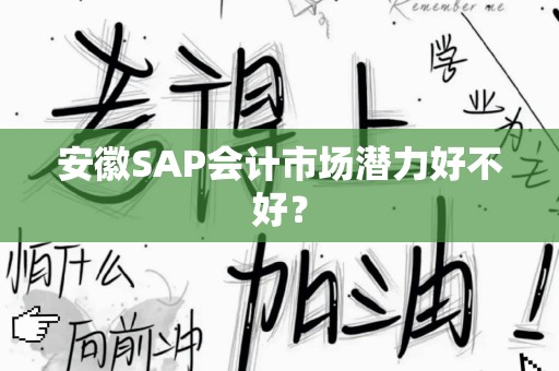 安徽SAP会计市场潜力好不好？