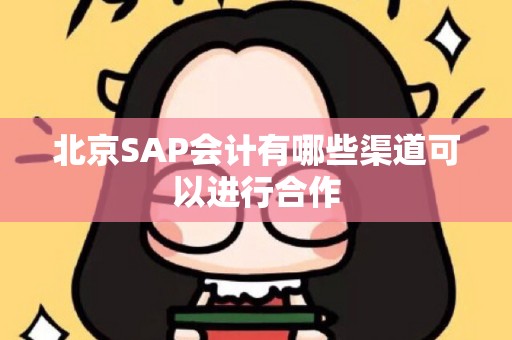 北京SAP会计有哪些渠道可以进行合作