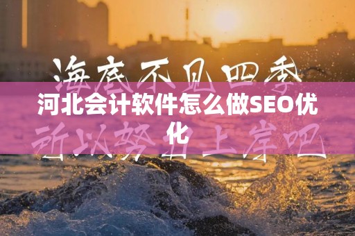河北会计软件怎么做SEO优化