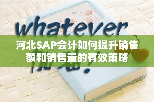 河北SAP会计如何提升销售额和销售量的有效策略