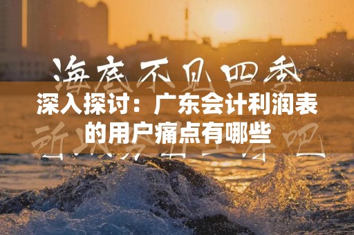 深入探讨：广东会计利润表的用户痛点有哪些
