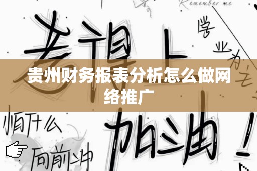 贵州财务报表分析怎么做网络推广
