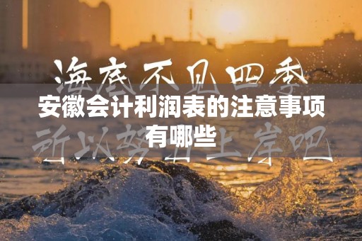 安徽会计利润表的注意事项有哪些
