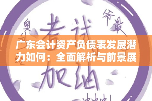 广东会计资产负债表发展潜力如何：全面解析与前景展望