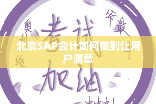 北京SAP会计如何做到让用户满意