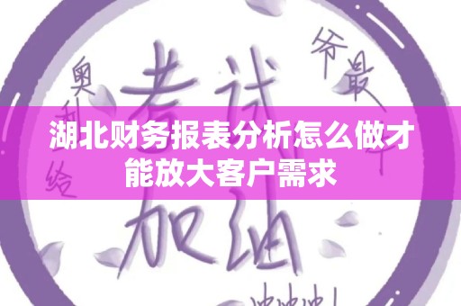 湖北财务报表分析怎么做才能放大客户需求