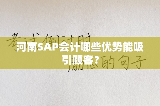 河南SAP会计哪些优势能吸引顾客？