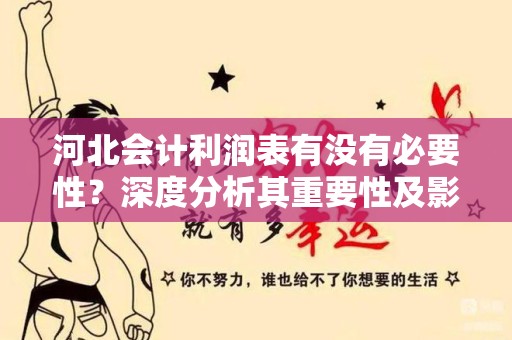 河北会计利润表有没有必要性？深度分析其重要性及影响