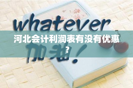 河北会计利润表有没有优惠？