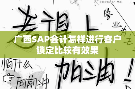 广西SAP会计怎样进行客户锁定比较有效果