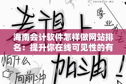 海南会计软件怎样做网站排名：提升你在线可见性的有效策略