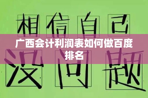 广西会计利润表如何做百度排名