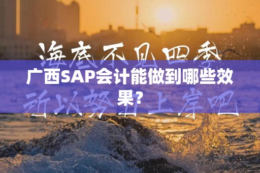 广西SAP会计能做到哪些效果？