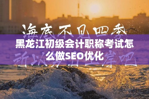 黑龙江初级会计职称考试怎么做SEO优化