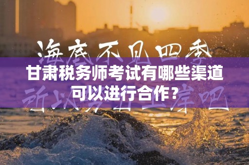 甘肃税务师考试有哪些渠道可以进行合作？