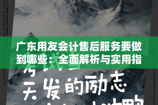 广东用友会计售后服务要做到哪些：全面解析与实用指南