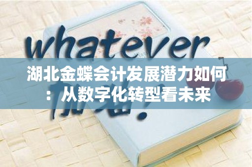 湖北金蝶会计发展潜力如何：从数字化转型看未来