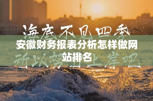 安徽财务报表分析怎样做网站排名