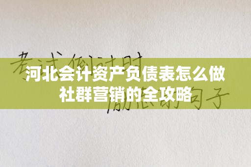 河北会计资产负债表怎么做社群营销的全攻略