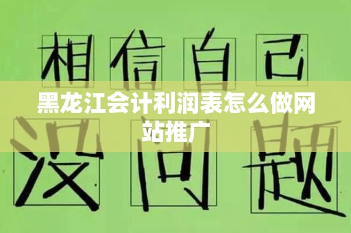 黑龙江会计利润表怎么做网站推广
