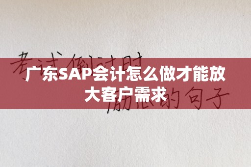 广东SAP会计怎么做才能放大客户需求