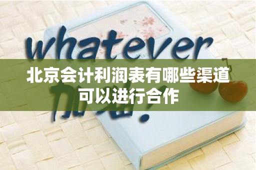 北京会计利润表有哪些渠道可以进行合作