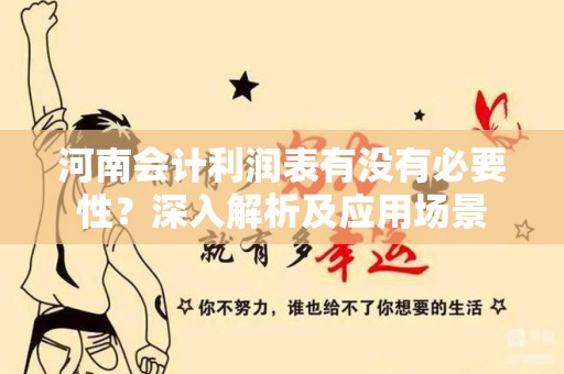 河南会计利润表有没有必要性？深入解析及应用场景