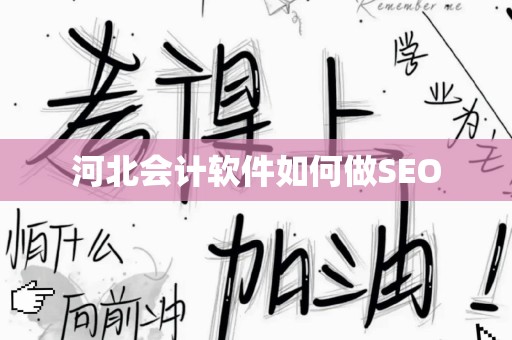河北会计软件如何做SEO